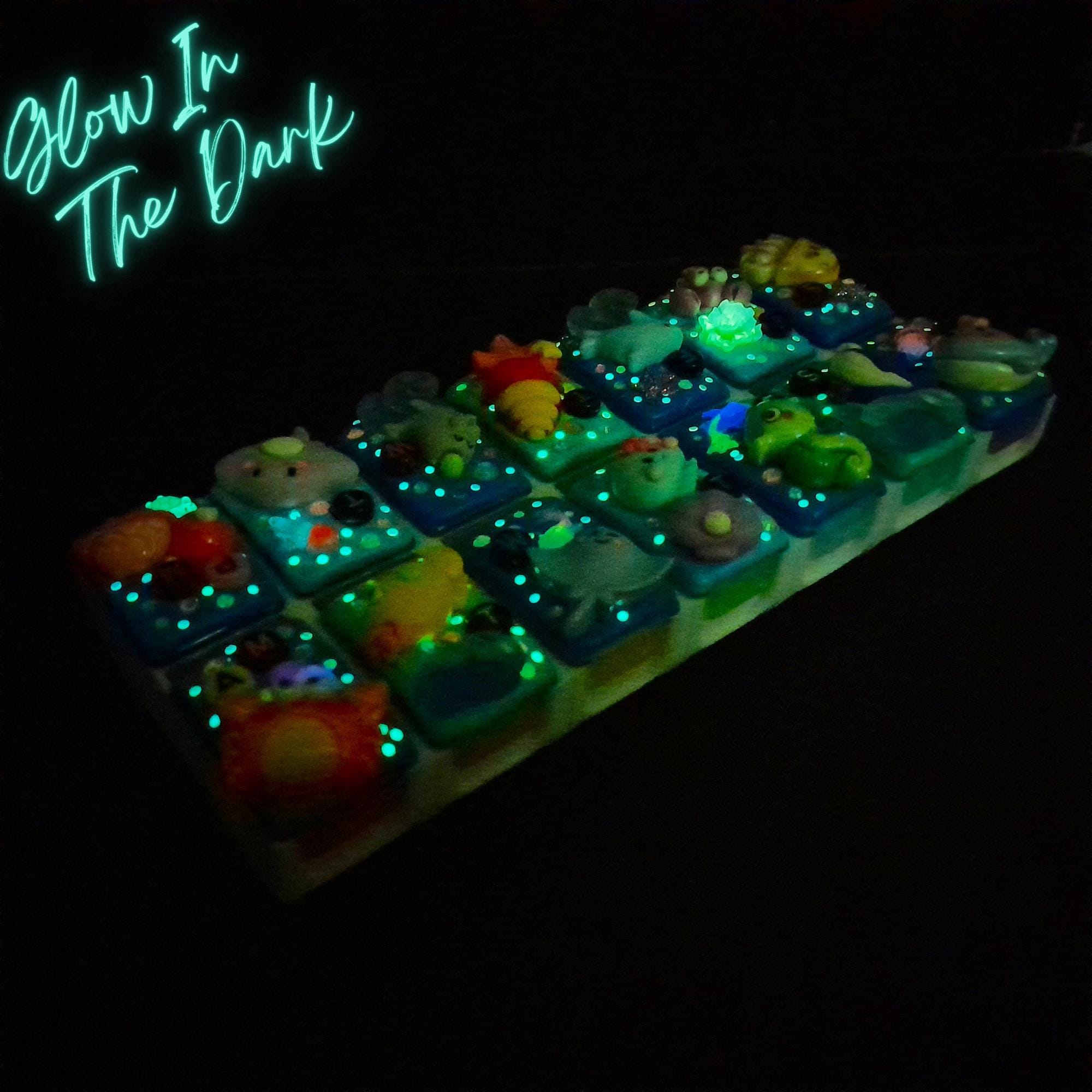 Under The Ocean - Detachable Pill Box