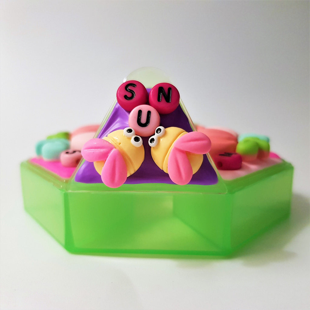 Tulip Flowers - Heptagon Pill Box