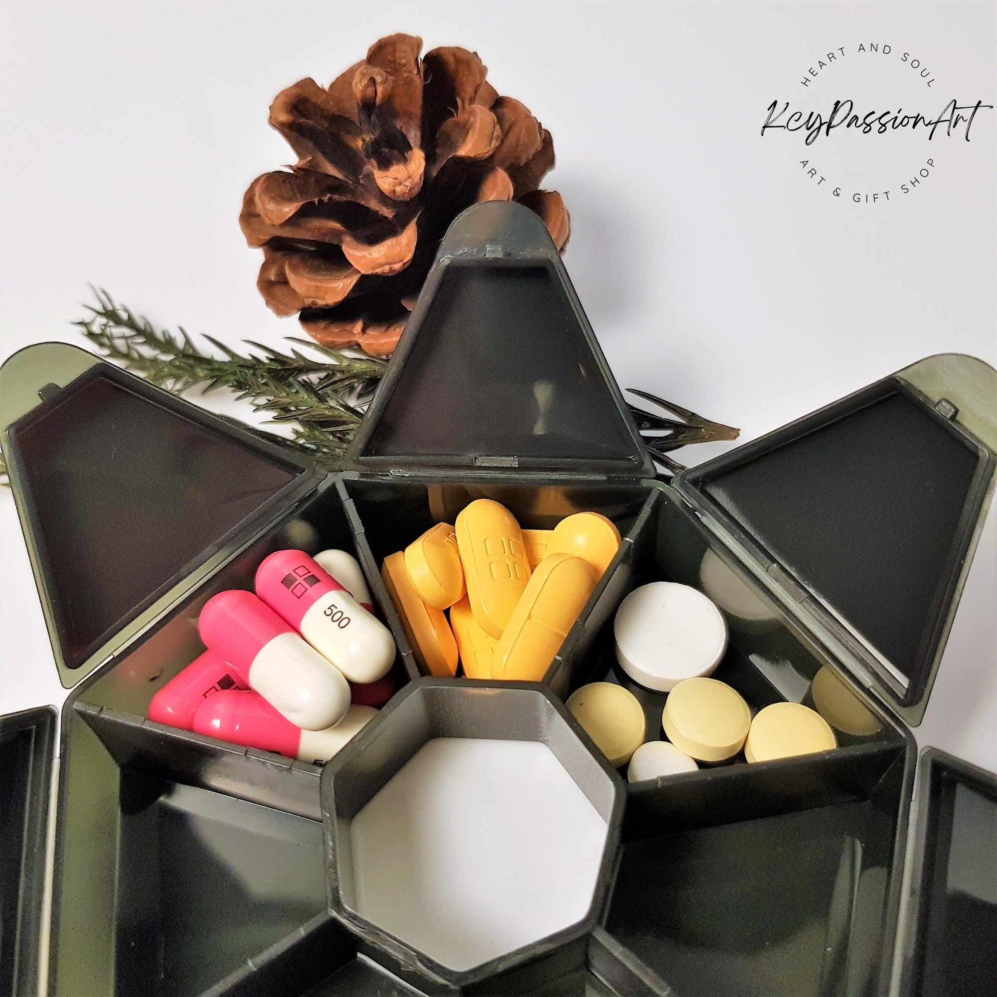 Colorful Wise Owls - Heptagon Pill Box