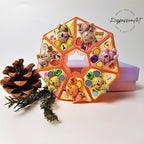 Cheeky Mice - Heptagon Pill Box