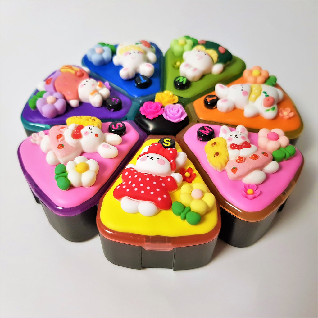 Bunny Wonderland - XL Pill Box