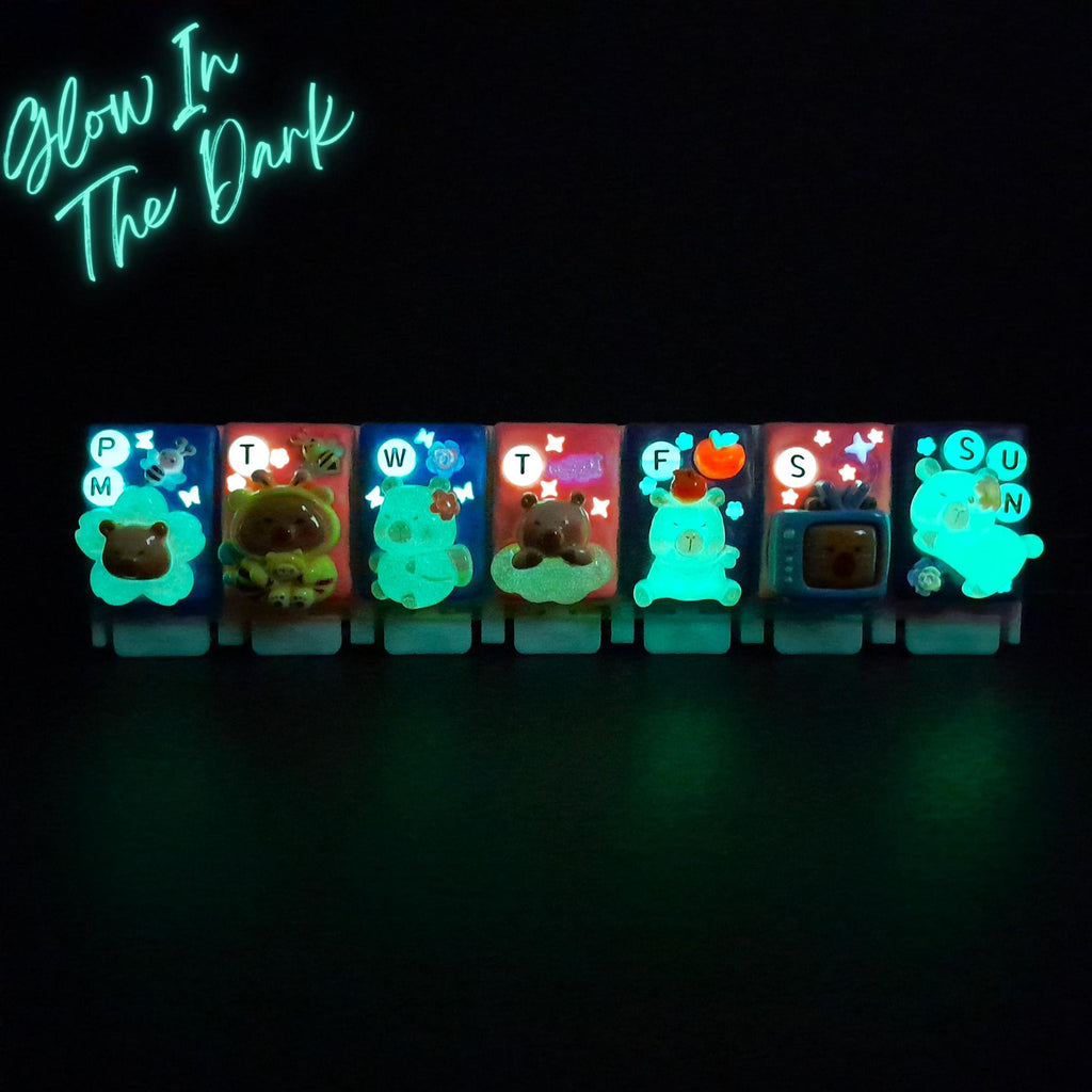 Capybara Glow - Straight Pill Box