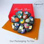 Astronaut - XL Pill Box