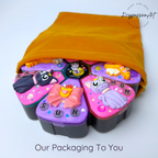 Magic Wands & Moon Cats - XL Pill Box