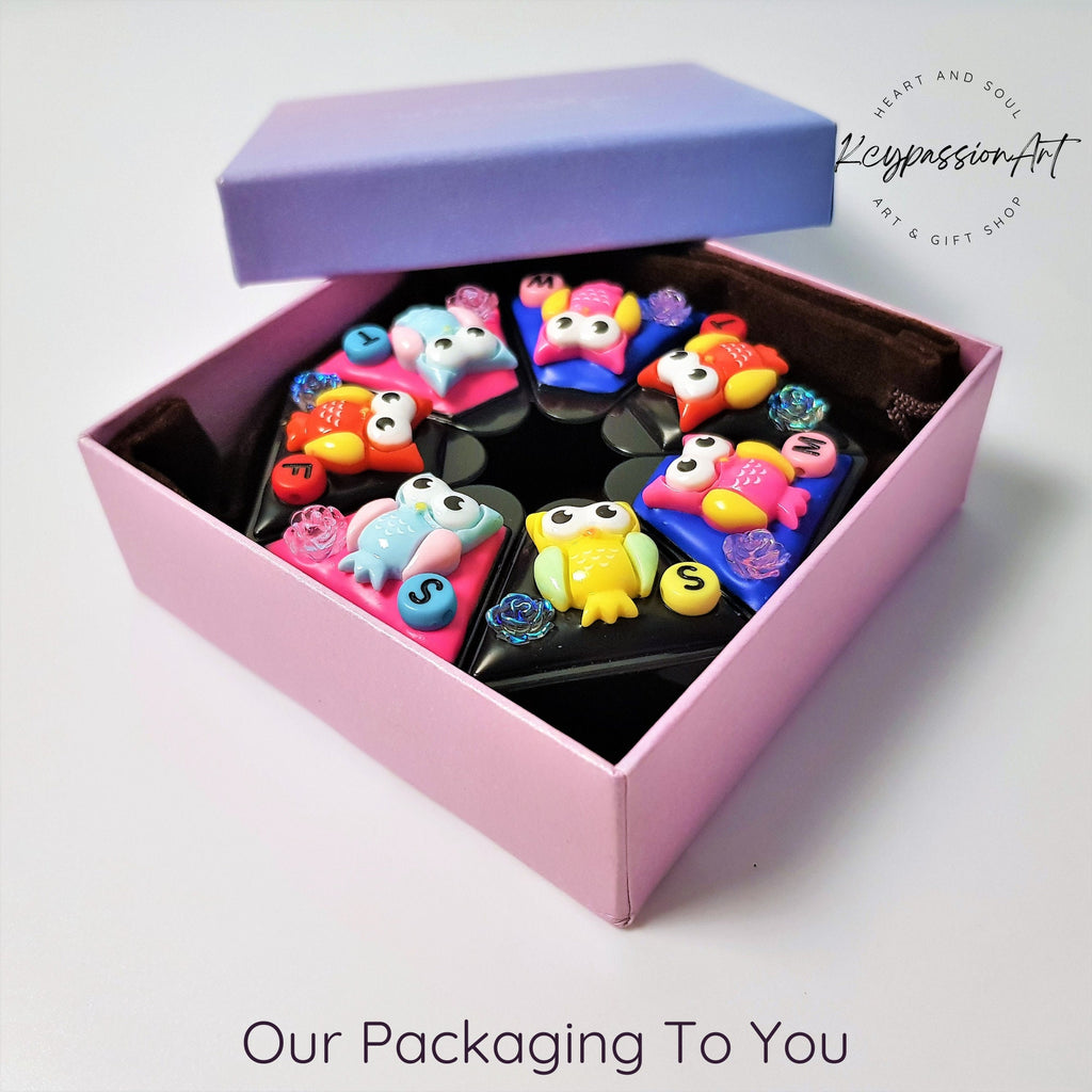 Colorful Wise Owls - Heptagon Pill Box