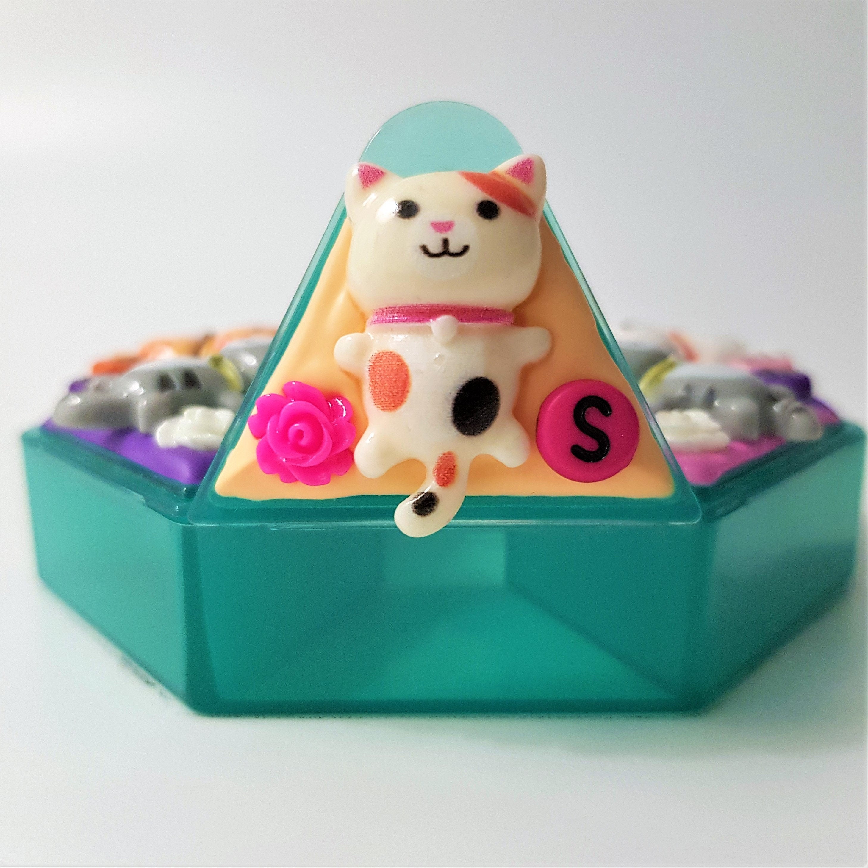Cats Lover - Heptagon Pill Box