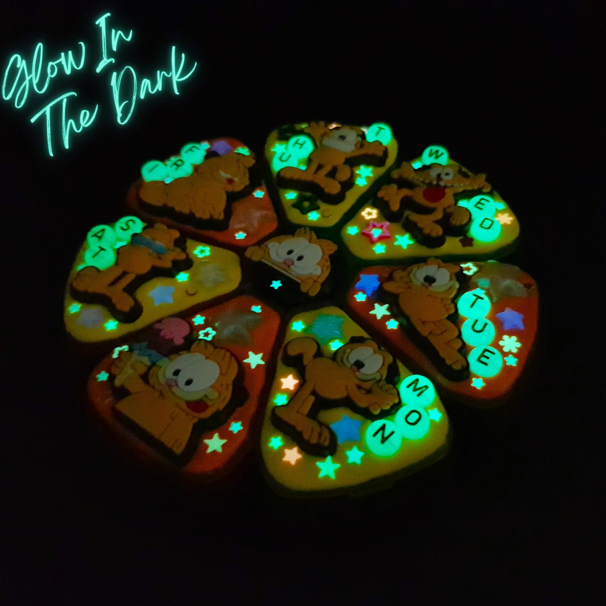 Funny Big Fat Cat - XL Pill Box