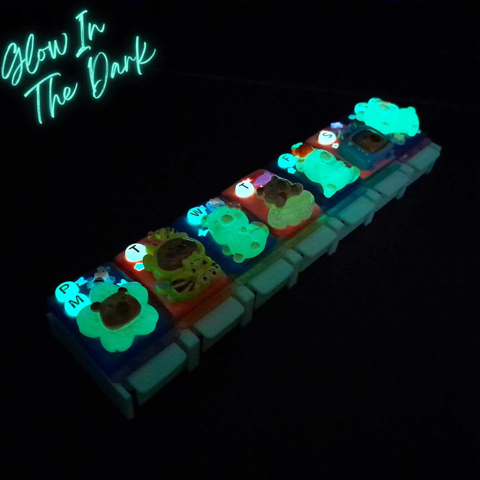 Capybara Glow - Straight Pill Box