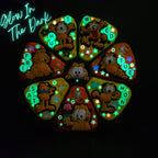 Funny Big Fat Cat - XL Pill Box