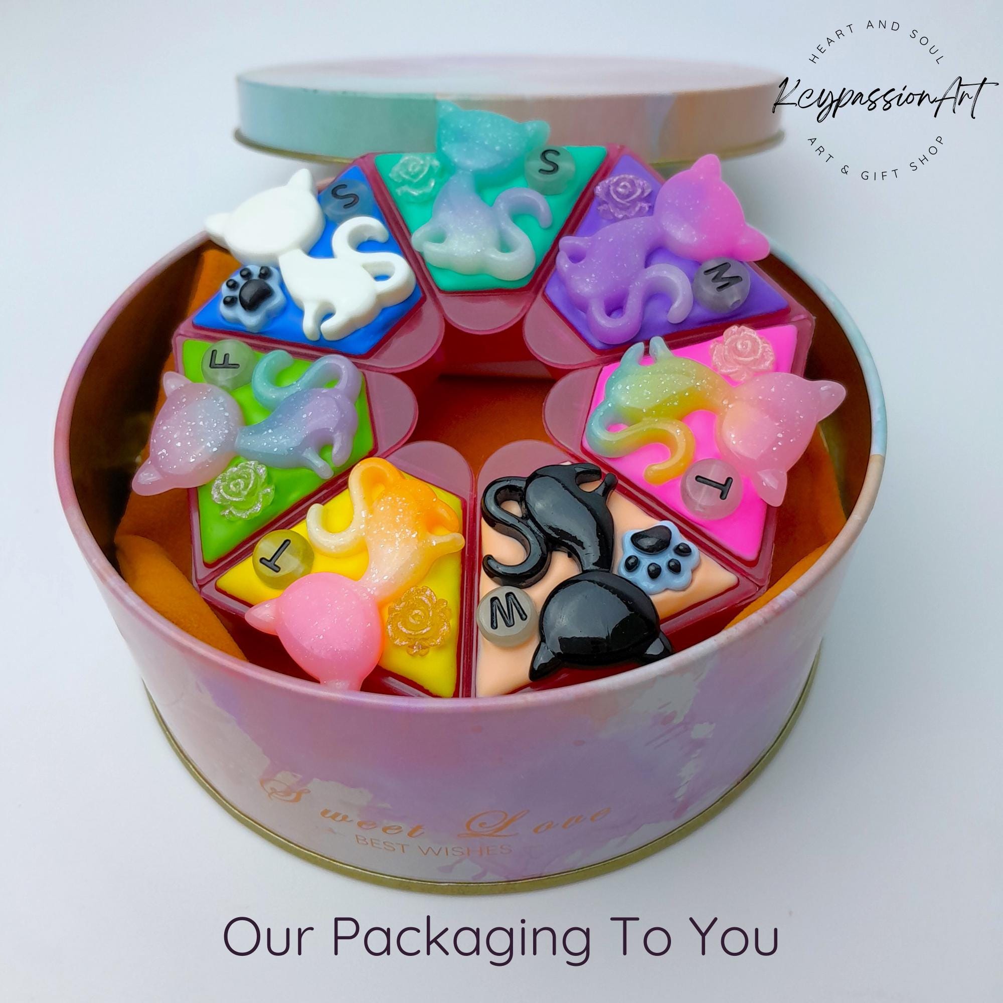 Colorful Cats - Heptagon Pill Box