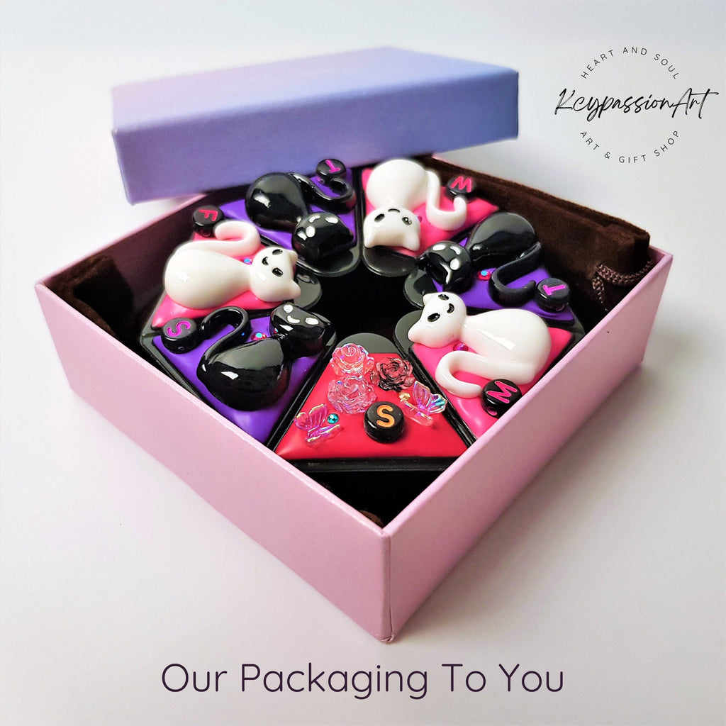 Mysterious Cats - Heptagon Pill Box