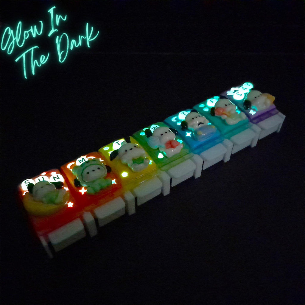 Daily Poka Fun - Straight Pill Box