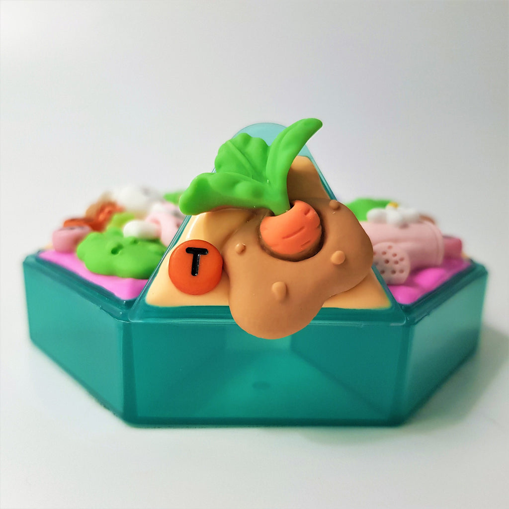 Rabbit Garden - Heptagon Pill Box