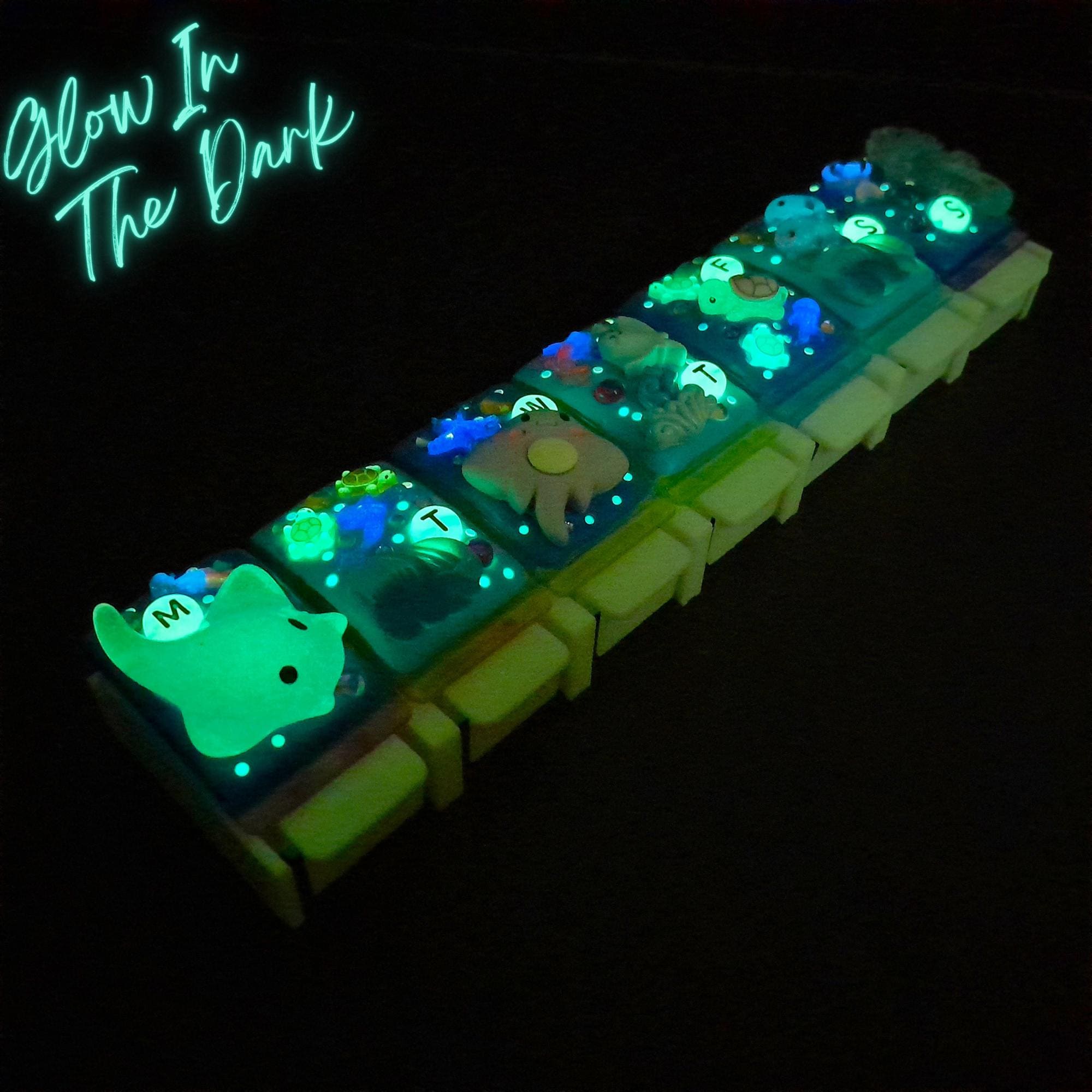 Beauty in the Ocean - Straight Pill Box