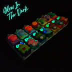 Dino Morning Dino Night - Detachable Pill Box