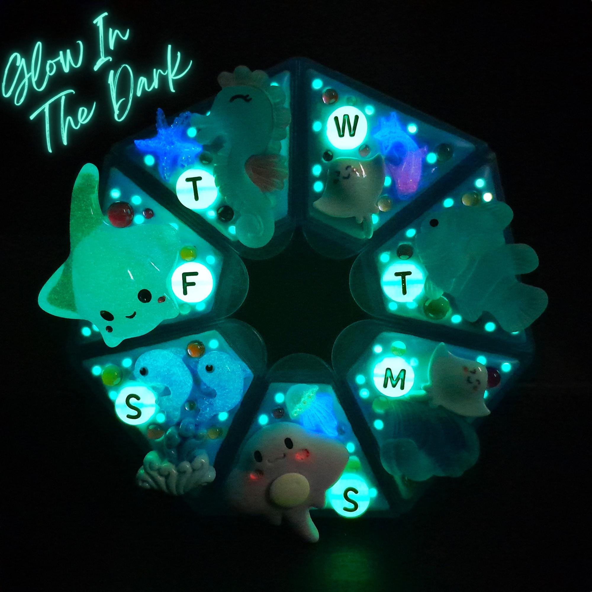 Ocean And Me Decorated Heptagon Pill Box