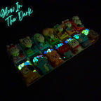 Morning & Night Buddies - Detachable Pill Box