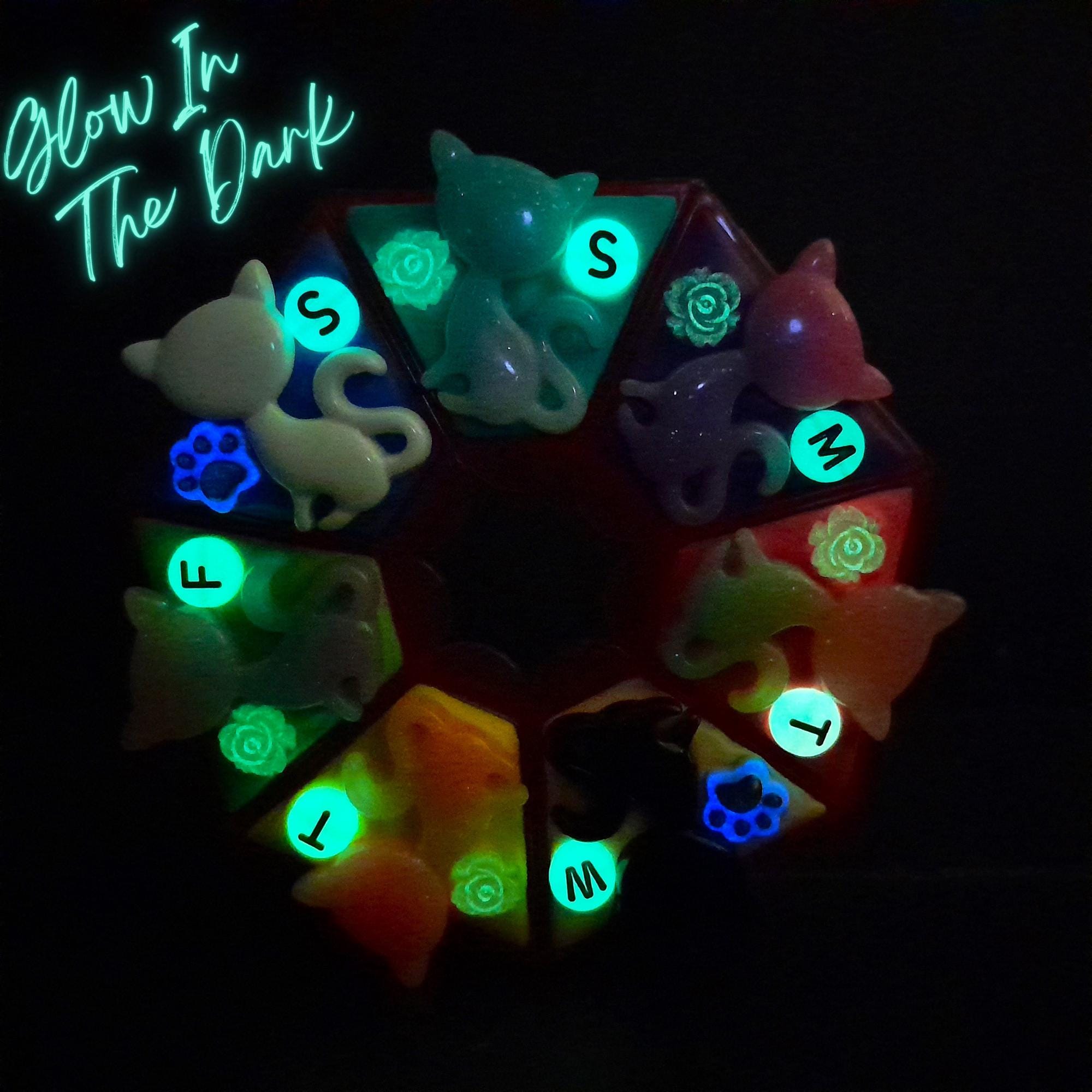 Colorful Cats - Heptagon Pill Box
