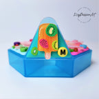Fruity Popsicle - Heptagon Pill Box