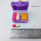 Capybara Love - Single Pill Box