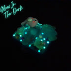 Pilulier Thalassophile : Organisateur journalier lumineux sur le thème de l'océan