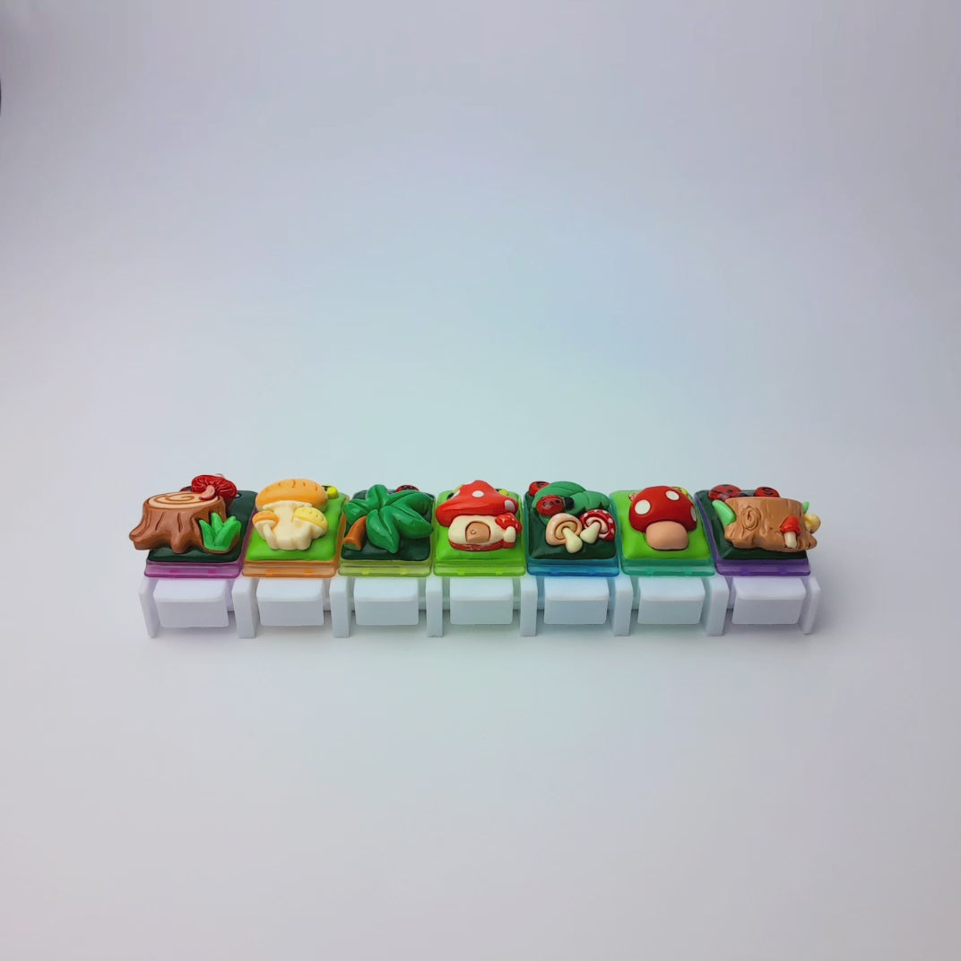 Whoa Mushrooms - Straight Pill Box