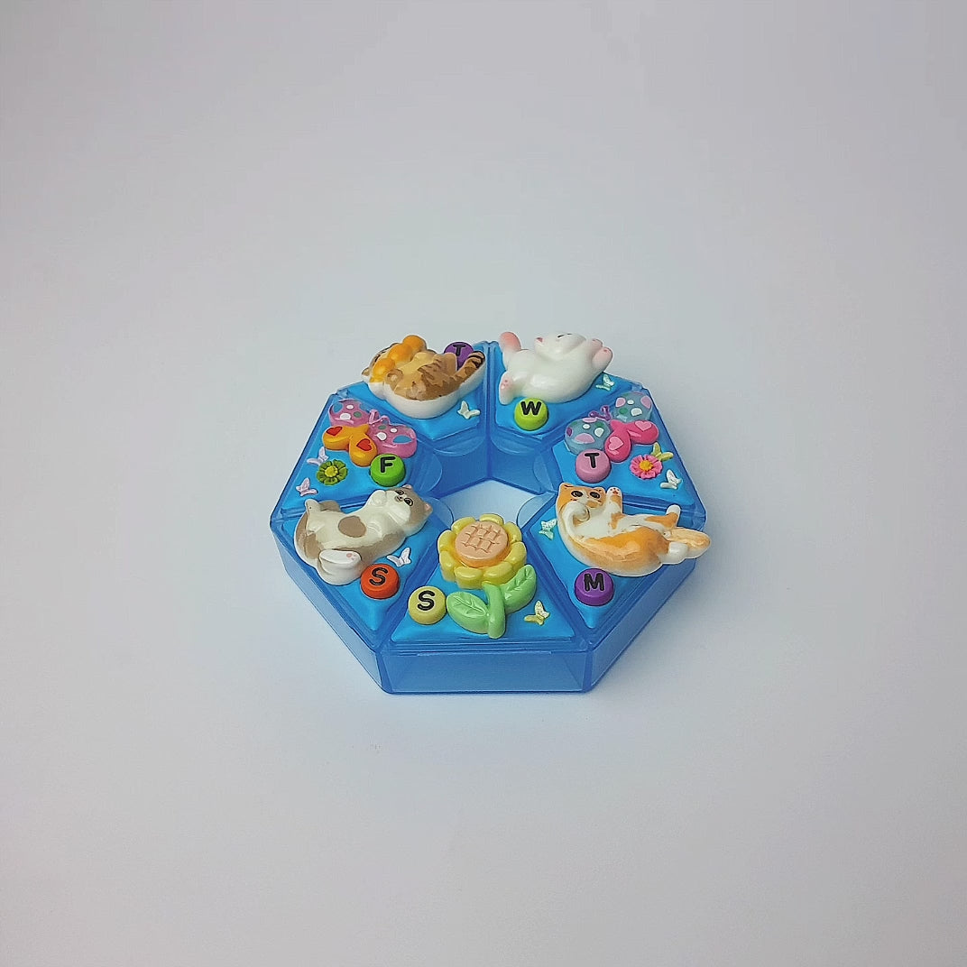 Cats And Butterflies Fun - Heptagon Pill Box