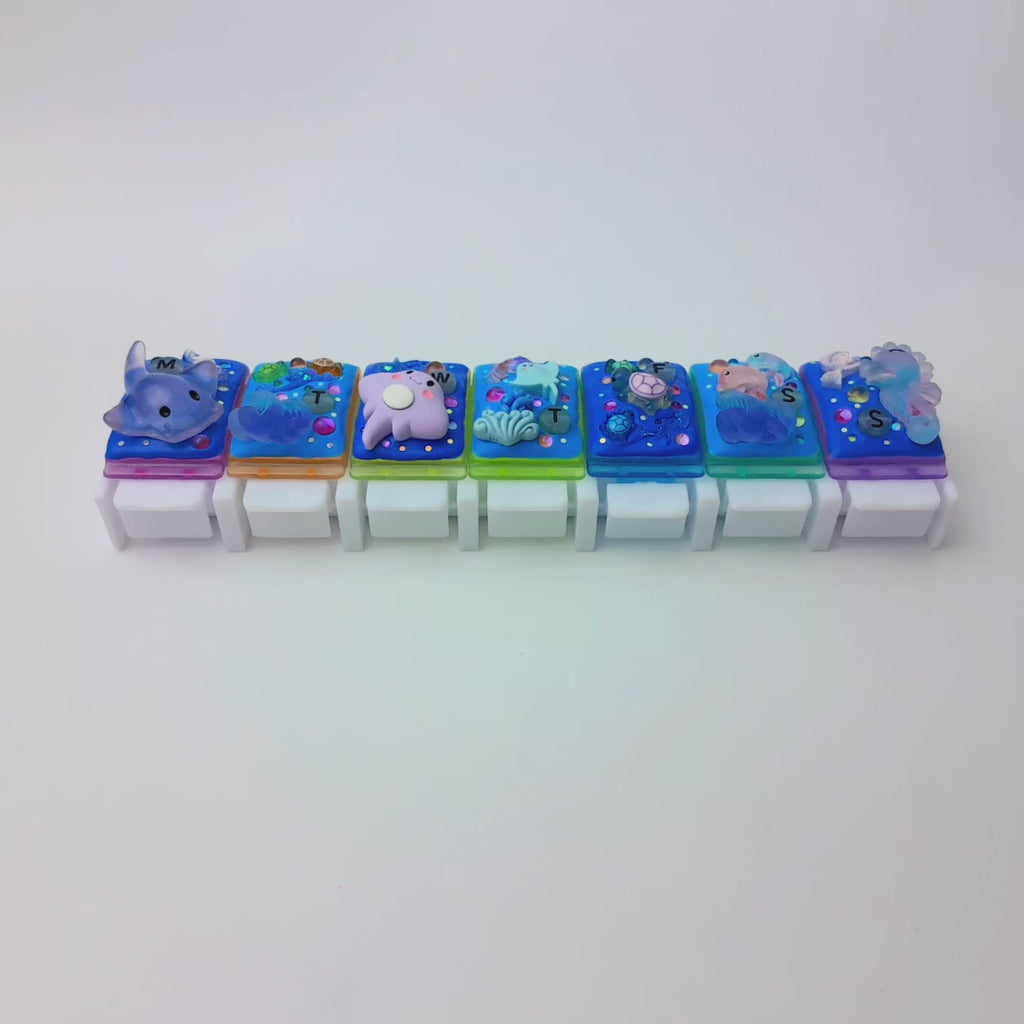 Beauty in the Ocean - Straight Pill Box