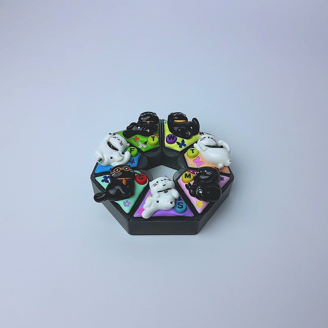 Kawaii Cats - Heptagon Pill Box