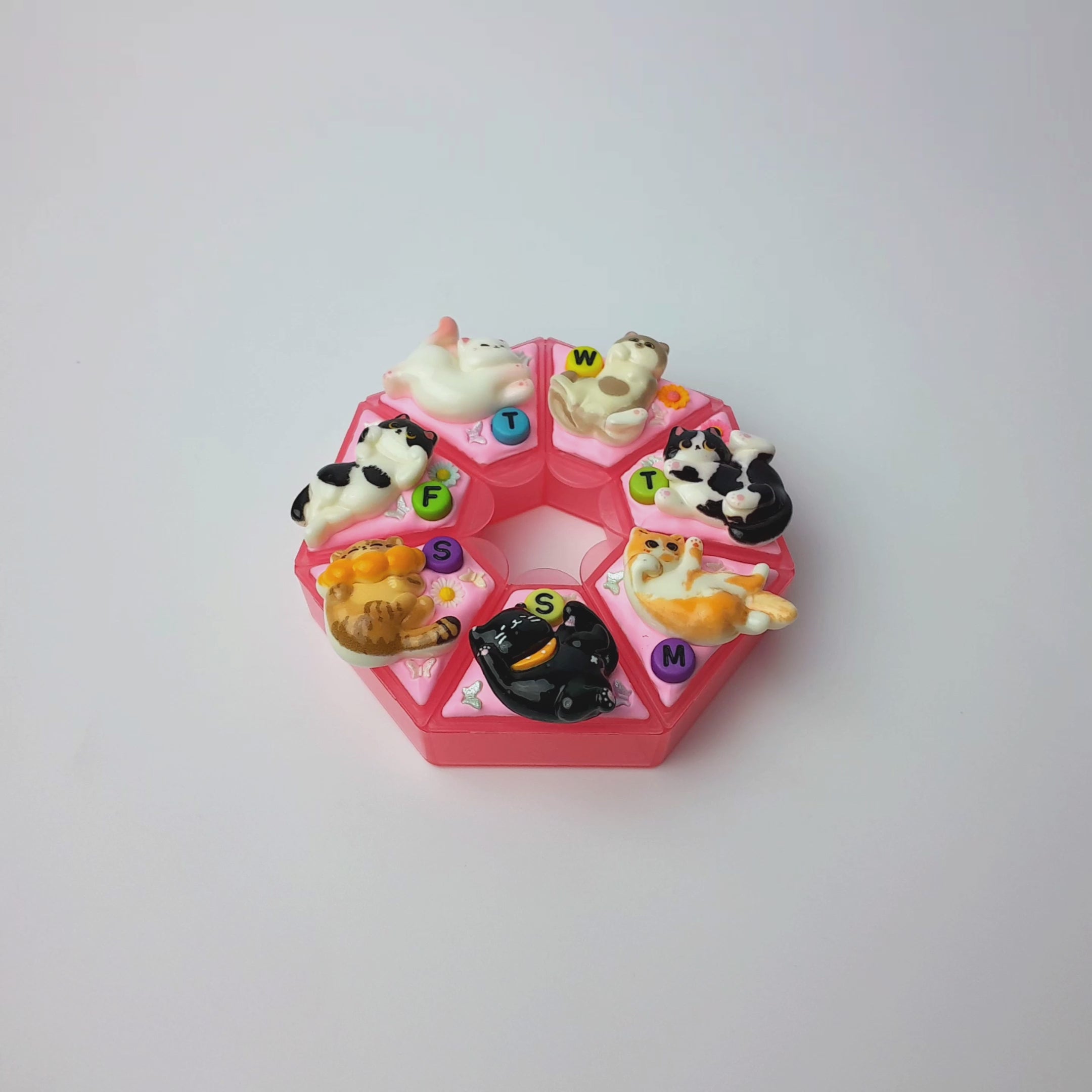 Meow With Cats - Heptagon Pill Box