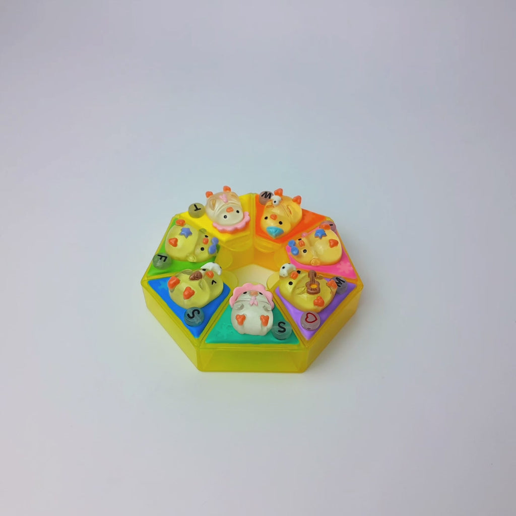 Winter Chicky Chick - Heptagon Pill Box